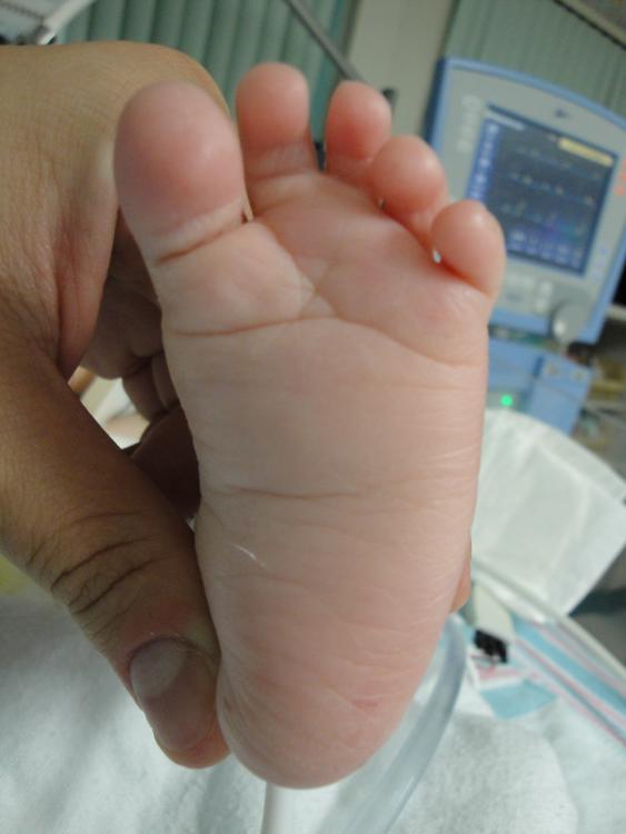 Loved putting my nose between these feetys